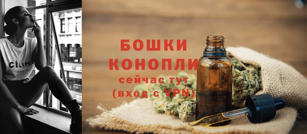 сатива Балахна