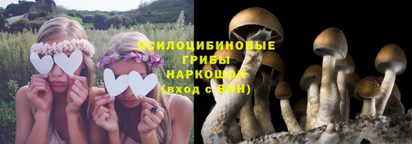 гашик Баксан