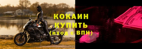 ГАЛЛЮЦИНОГЕННЫЕ ГРИБЫ Горняк