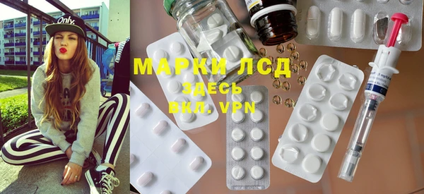 ГАЛЛЮЦИНОГЕННЫЕ ГРИБЫ Горняк