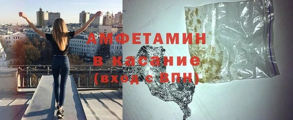 сатива Балахна