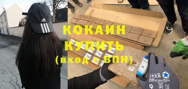 ГАЛЛЮЦИНОГЕННЫЕ ГРИБЫ Горняк
