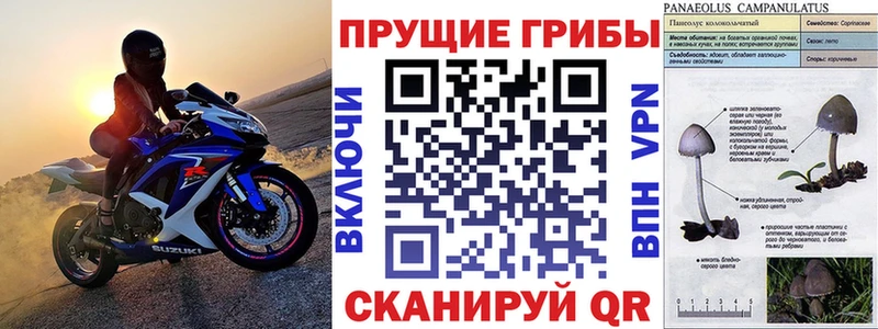 где найти наркотики MEGA ссылка Псилоцибиновые грибы мухоморы Чудово