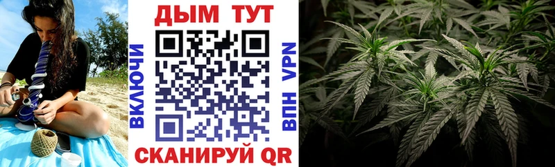 Каннабис OG Kush Чудово